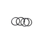 O-ring