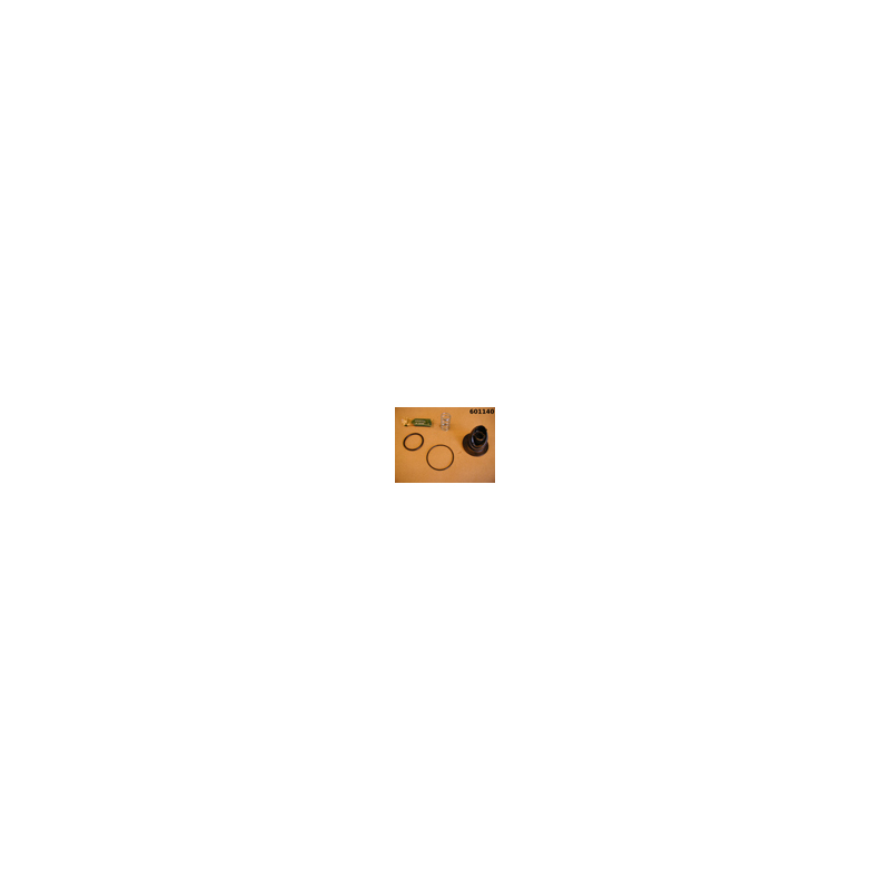 Seat Insert Repair Kit