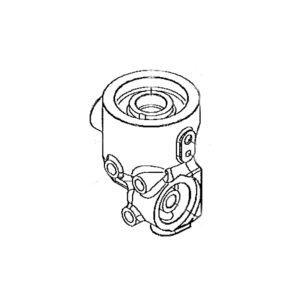 Manifold
