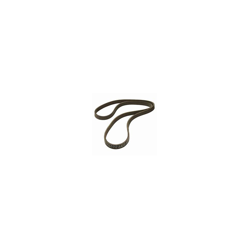 Belt, Serpentine