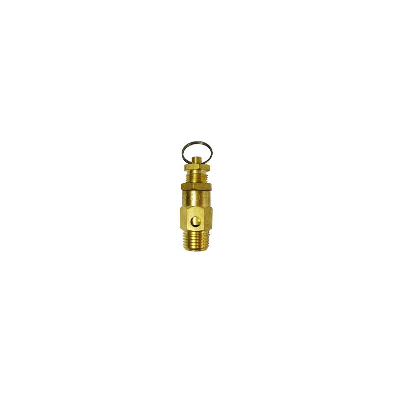 Relief Valve – 225 PSI, 1/4 MPT Male